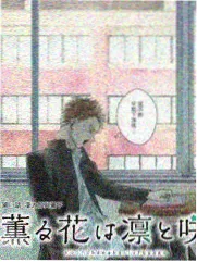 韩流观光团